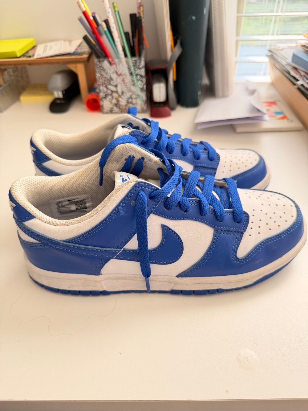 Nike Youth Dunk Low Sneakers - White/Blue